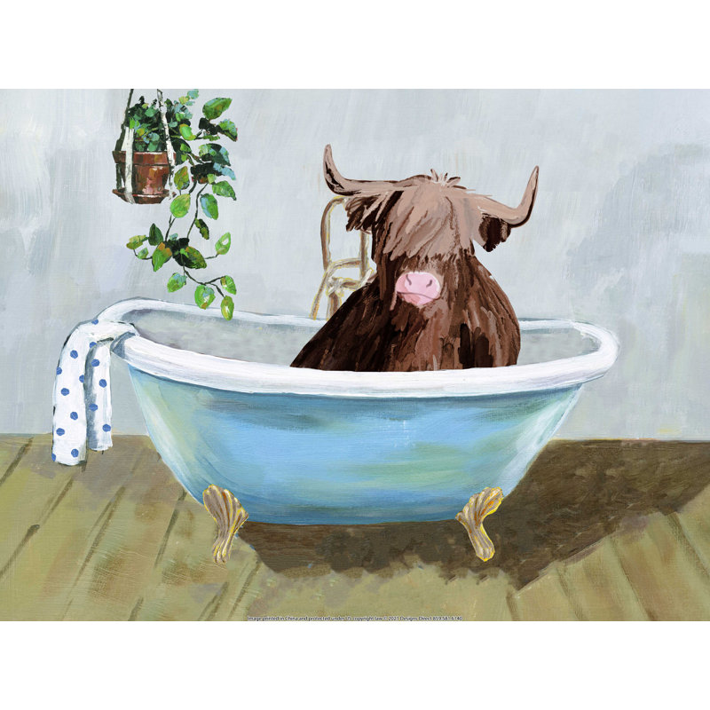 Vache Highland dans une baignoire, H 12 po x l 16 po