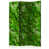 Green selected