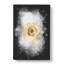 Pale Yellow Rose - Wrapped Canvas-56641604