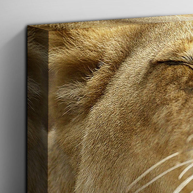 Cuddling Lions Photographic - Wrapped Canvas, 40cm H x 60cm W