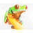 Curious Red Eyed Frog Green Placemat - Reptile Decor Essential