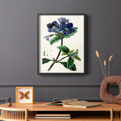 Reproduction encadrée Antique Floral Folio IV - bois massif