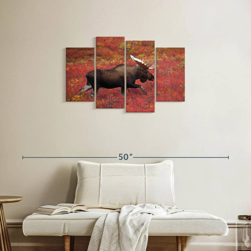 Brampt Denali National Park Moose, 22" H x 36" W