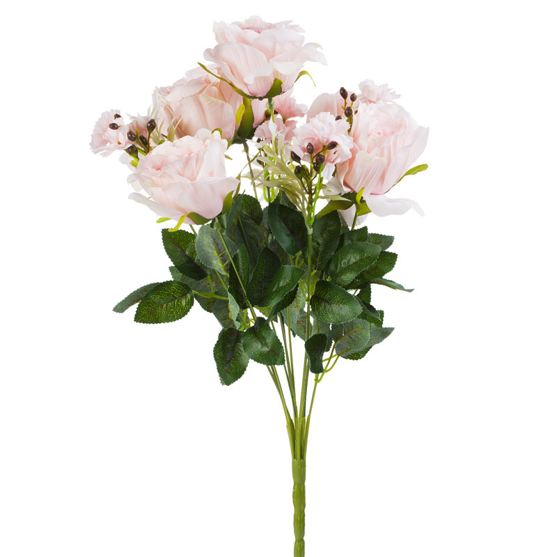 Mélange de roses et de buissons, Rose