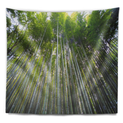 Tapisserie, forêt de bambou, forêt de Kyoto, Japon
