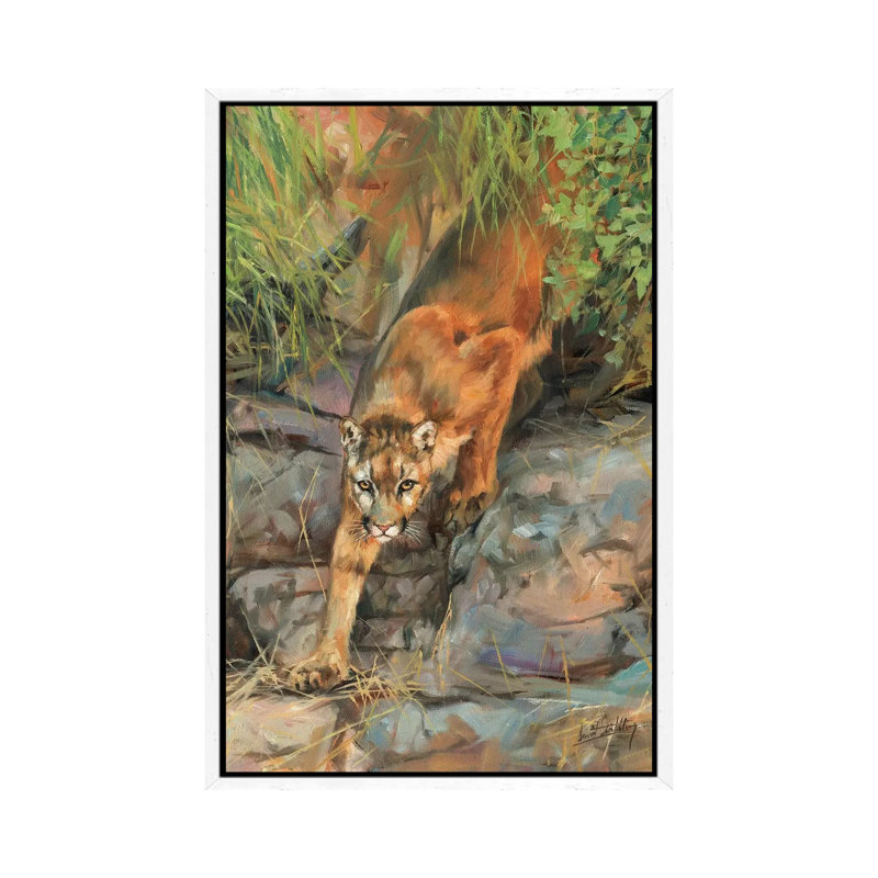 Mountain Lion II by David Stribbling - Gallery-Wrapped Canvas Giclée on Canvas, 152.5 cm H x 101.5 cm W, White Framed