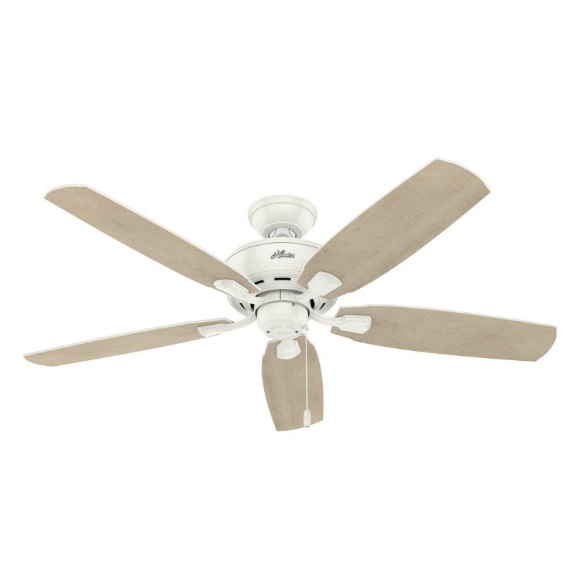 52" Amberlin 5 - Blade Standard Ceiling Fan with Pull Chain and Light Kit Included, Fresh White