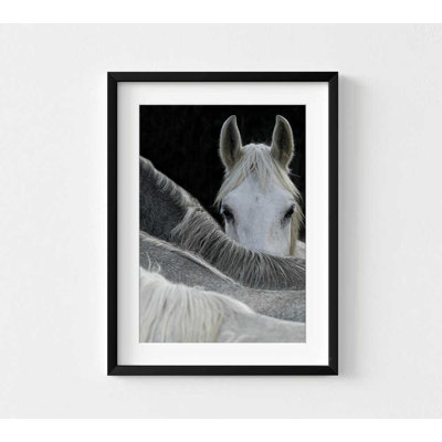 Reproduction de photo de cheval - force tranquille, décor moderne