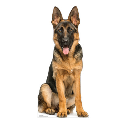 Berger allemand