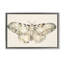 Toile flottante «Dusty Beige Moth Brown» par Petal Prints Design-857605211-857605210
