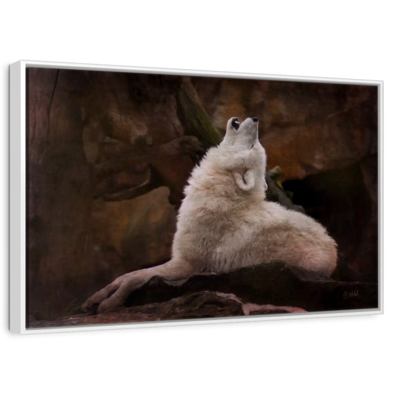 Loup blanc, Cadre flottant blanc, 40 po x 27 po