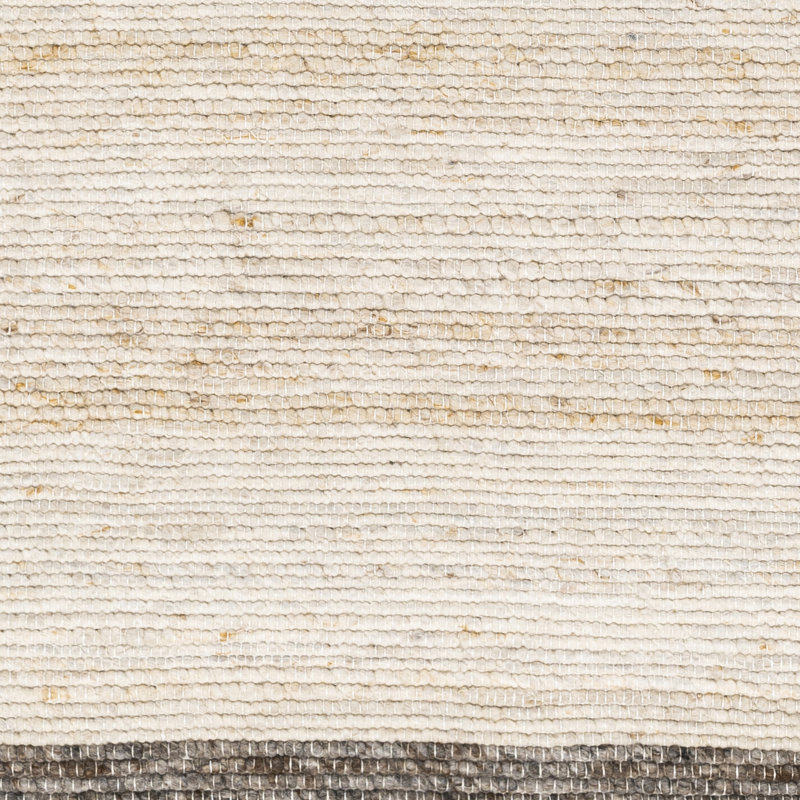 Mécanisme tressé à la main, recyclé, P.E.T. Tapis intérieur / extérieur gris / taupe, Rectangle 6 pi x 9 pi