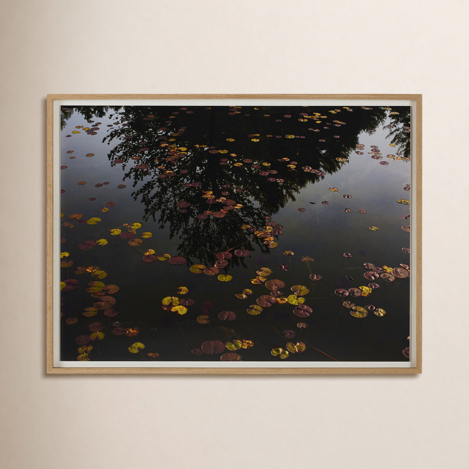 "Echo" by Shade Degges, 36" H x 48" W