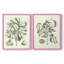 Reproduction encadrée de qualité supérieure Buchoz Tropicals IX - prête à être accrochée-213630779-213630776