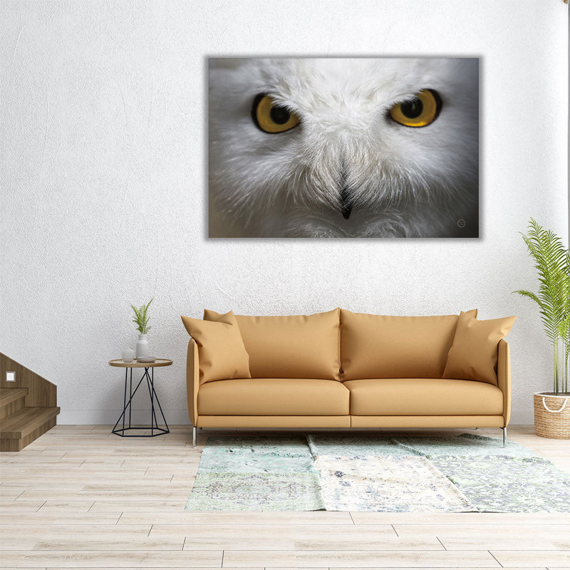 Snowy Owl Stare - reproduction d'art sur toile, 20" H x 30" W