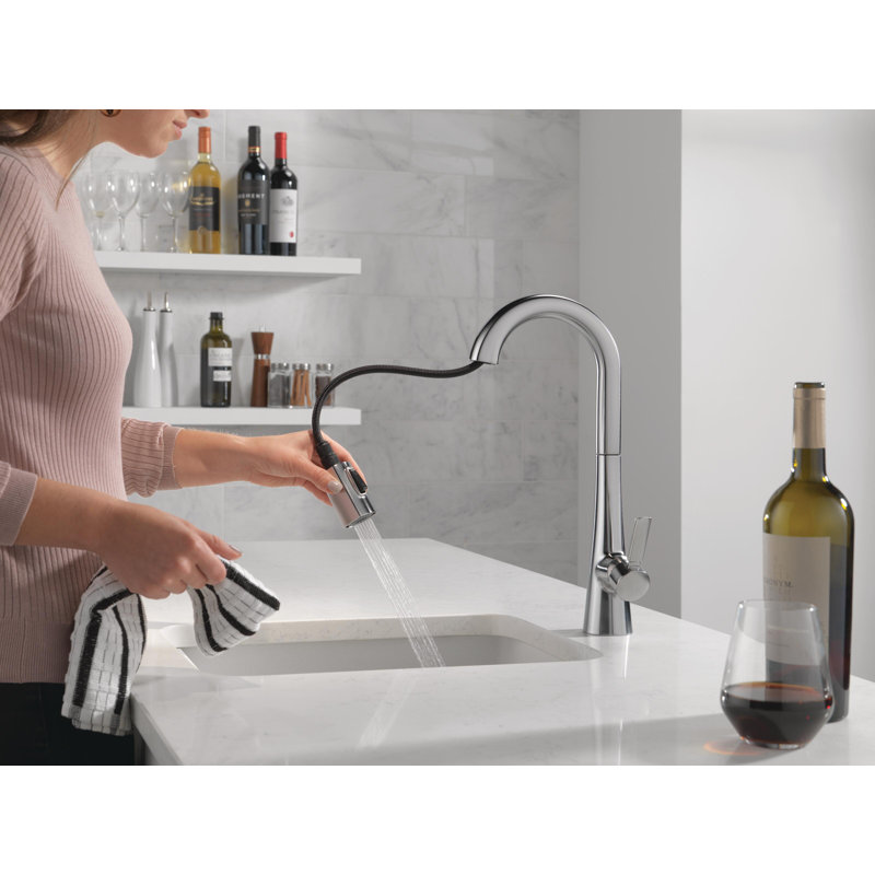Monrovia Bar Faucet with Pull Down Sprayer, Arctic Stainless
