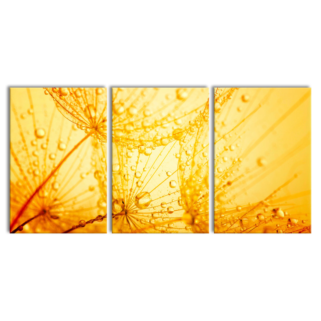 'Dandelion Seeds with Dew' Multi-Piece Image on Canvas
