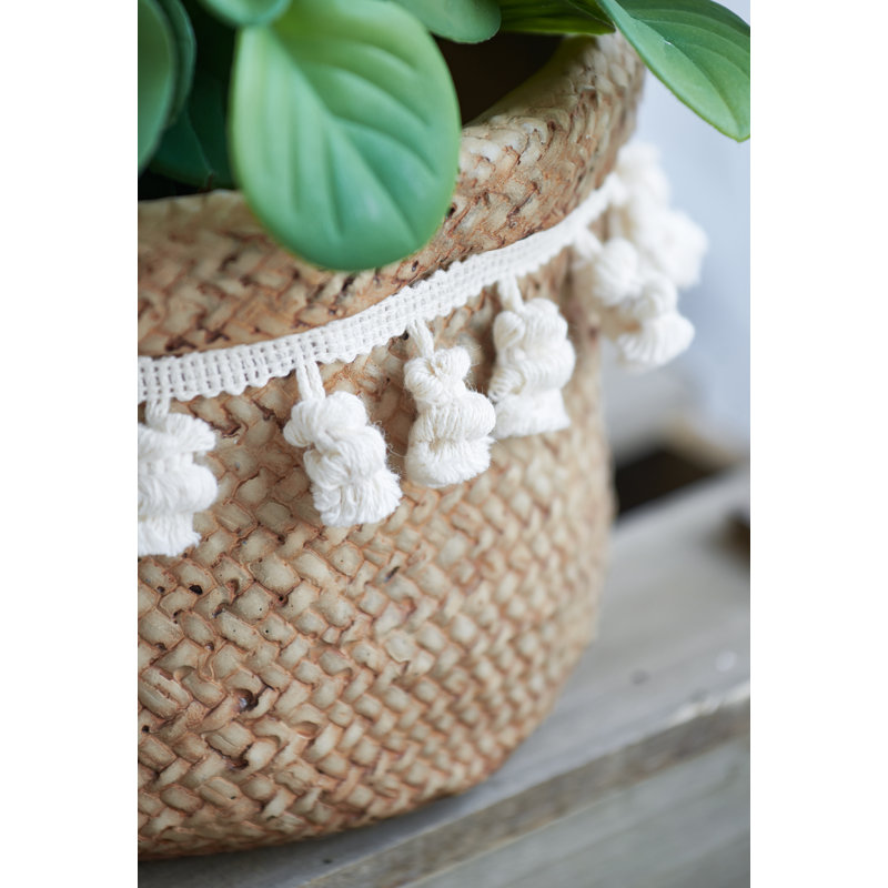 Pot Planter