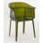 Papyrus Arm Chair-3898194