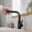 Robinet de lavabo, robinets de cuisine noirs avec douchette extractible, robinet de préparation pour mini-bar-119337222