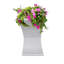 Bassin pour oiseaux-905154293