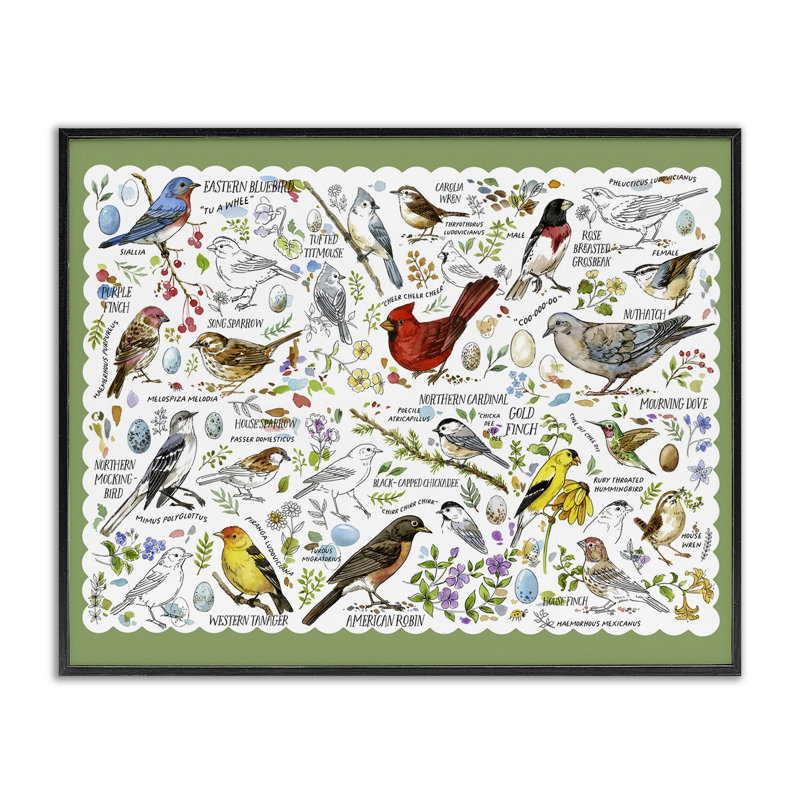 Variété d'oiseaux variés, estampe numérique par Jane Maday, H 11 po x l 14 po, Giclée encadrée noir minuit