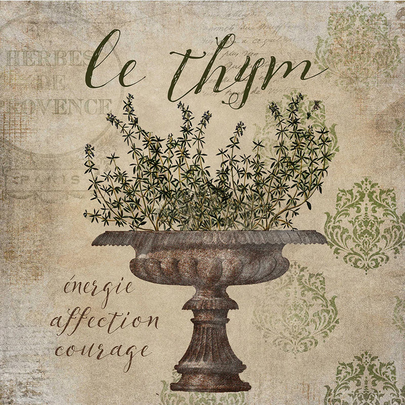 French Herbs Thyme Print on Beige Canvas