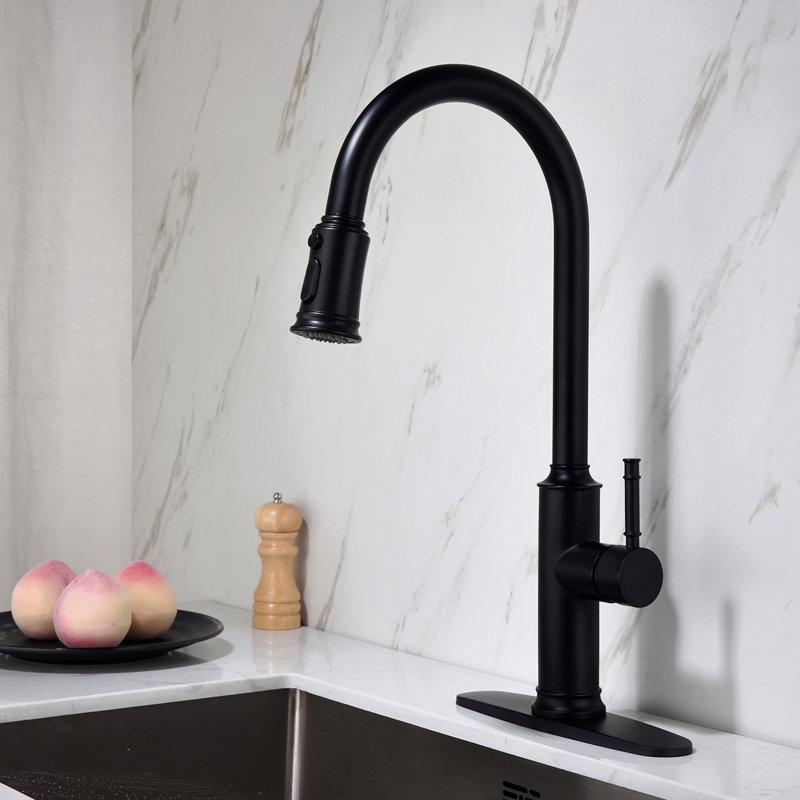 Robinet de cuisine avec douchette extractible