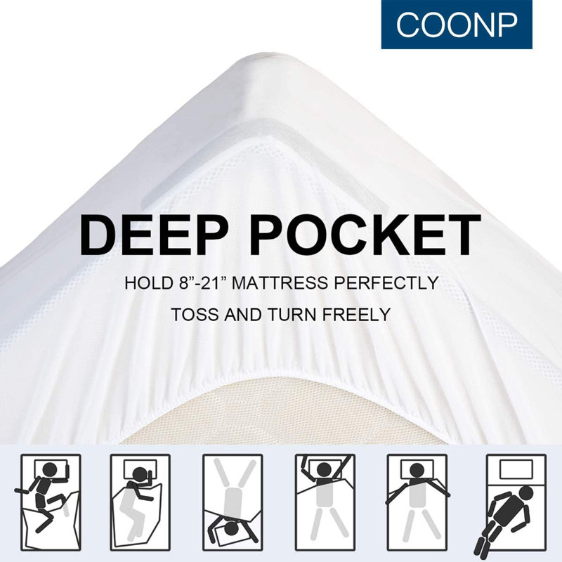 Jourdanton 3'' Mattress Topper, White, Full