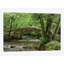 Adam Burton - Print on Canvas-34181212-89233663