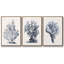 Blue Antique Coral I - ensemble de 3 reproductions de photos sur toile-97757408-97757407
