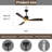 Cadavid 52 " Ceiling Fan with Light Kit