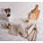 Kristina Cotton Waffle Dish Cloth Kitchen Towel-877322230