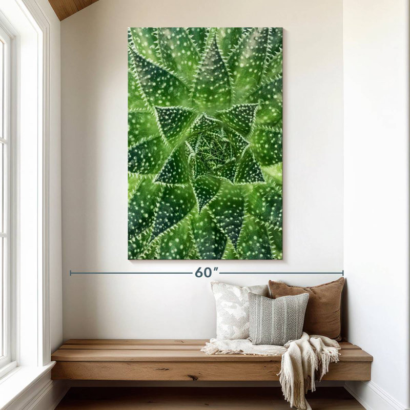 Harnek Spiny Succulent Plant, 51" H x 34" W