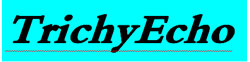 Trichy Echo logo
