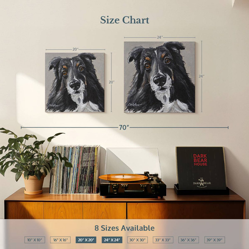 Brampt Sheltie On Gray