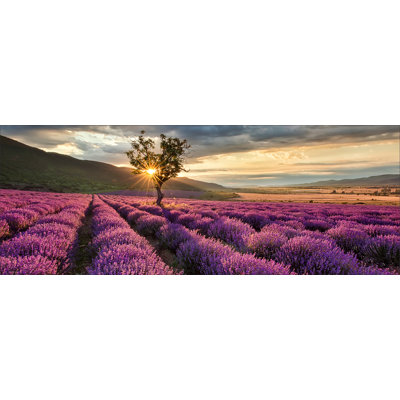 No Frame Print on Canvas