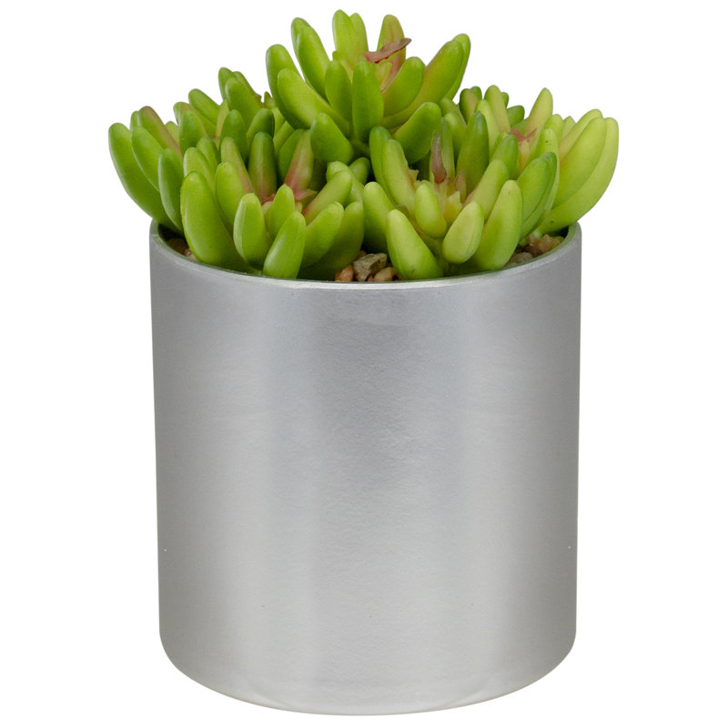 Succulent artificiel rouge et vert en pot 4,75 po