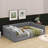 Upholstery Daybed With Side Storage Pocket-208916616-208916619