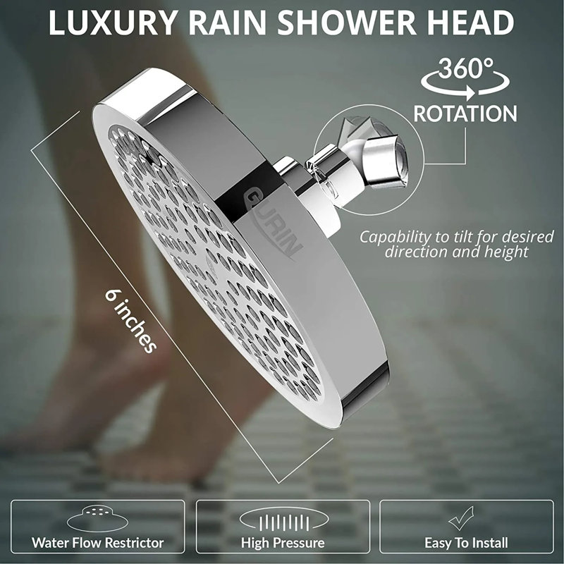 Adjustable Shower Head 2.5 GPM GPM, Silver