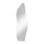 Clear Irregular Stone Shaped Frameless Wall Mirror Float Glass Full Body Viewing Modern Decorative Wall Mirror-65495118