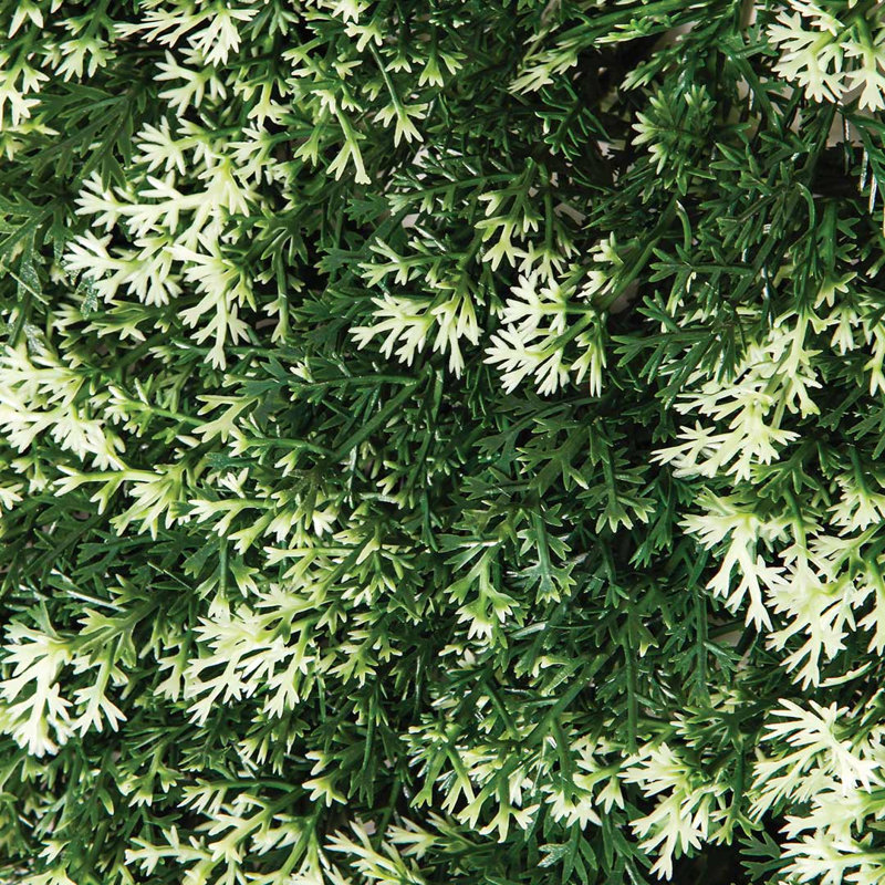 15 cm H Faux Cypress Grass Plant, Cypress