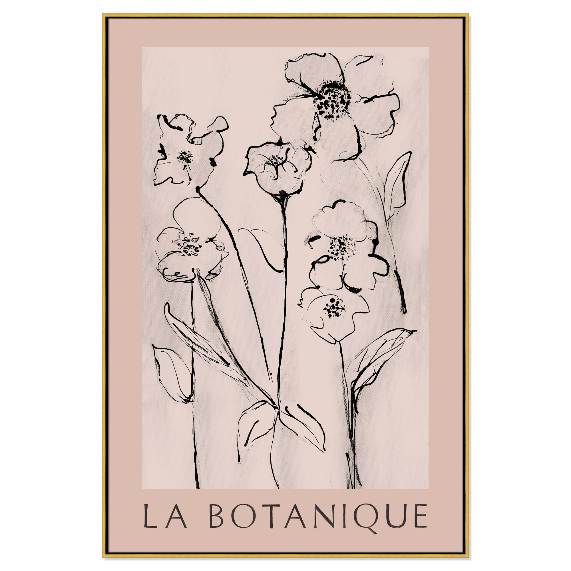 Botanical Poster Collection " La Botanique " by Susan Jill, 61.5" H x 41.5" W x 2" D, No, Gold Floater Frame