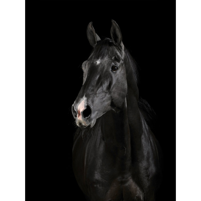 Décoration murale en acrylique noir avec visage de cheval noir, H 30 po x l 20 po