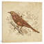 Steampunk Songbird, impression sur toile tendue-15819966-74873199-74875522