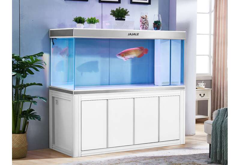 Fish Tank Sizes & Types: How to Choose the Right Aquarium | Wayfair