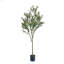 ARBRE D'OLIVE ARTIFIQUE 180CM