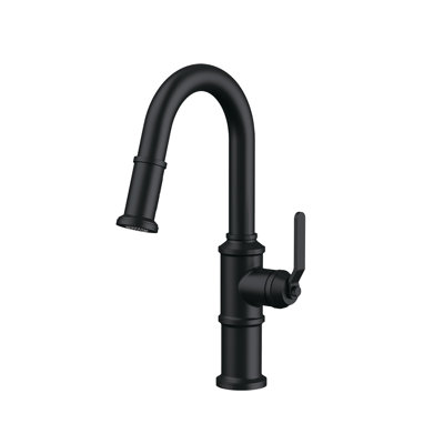 Kinzie Single Handle Pull-Down Prep Faucet