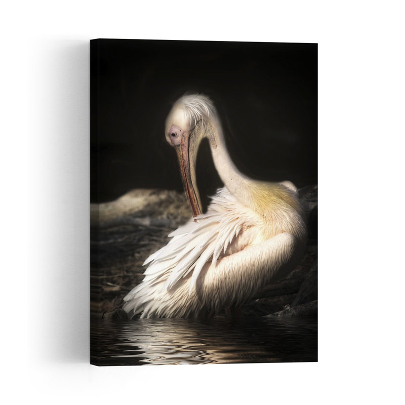 Elegant White Pelican Elegant Peaceful Serene Bird Pelican Nature Portrait Wall Art Print 1 Piece Wrapped Canvas Wall Art