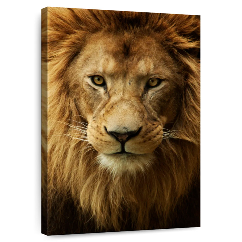 Brampt Fabulous Lion Head, 45" H x 30" W
